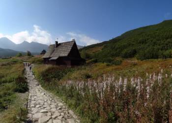 EAttachments92981064547c1a21e7c7a30e6f8a56010a81bc9 xl