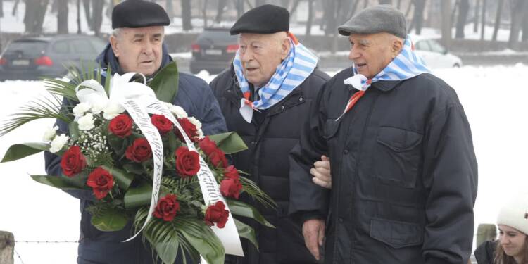 EAttachments9299301504a2b810e156e37389e84e70c87dd12 xl 1