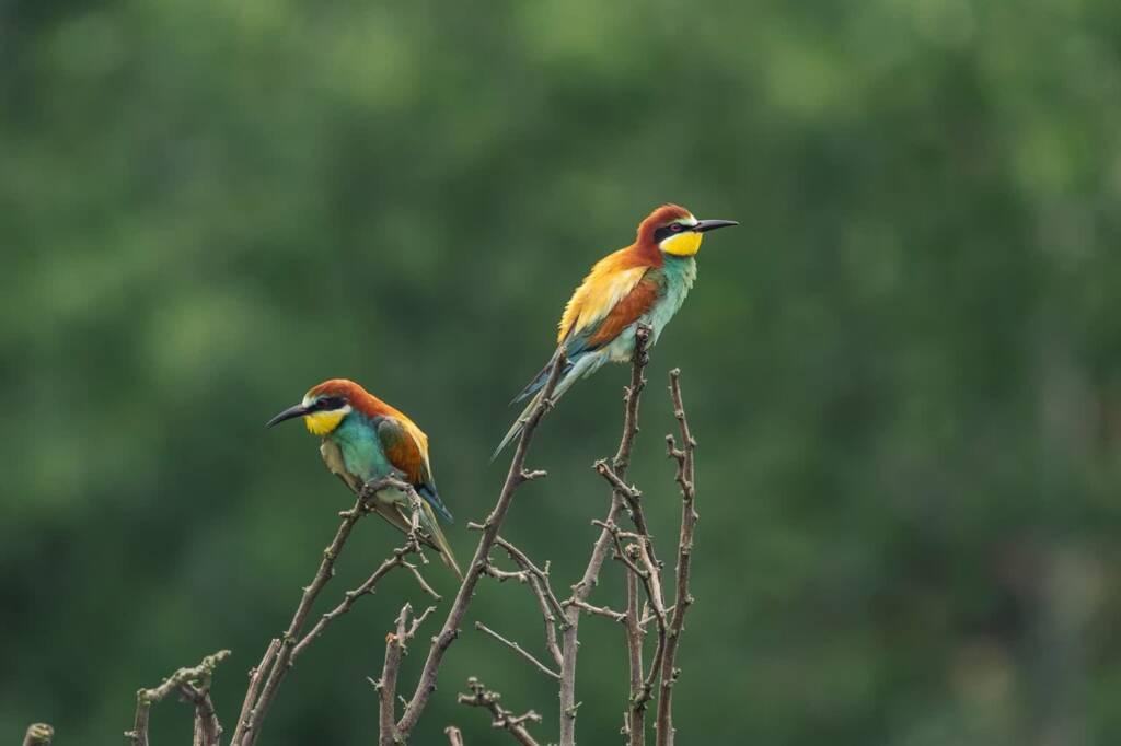 28.01.2026 Bez-miar 1 EAttachments9299511d6d20f61d1a684931b0cb450f4a6d825 xl