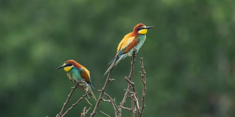 28.01.2026 Bez-miar 1 EAttachments9299511d6d20f61d1a684931b0cb450f4a6d825 xl