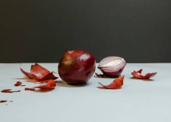 EAttachments93003733d1823b8e1e5cc68499a5785d4d28db7 xl