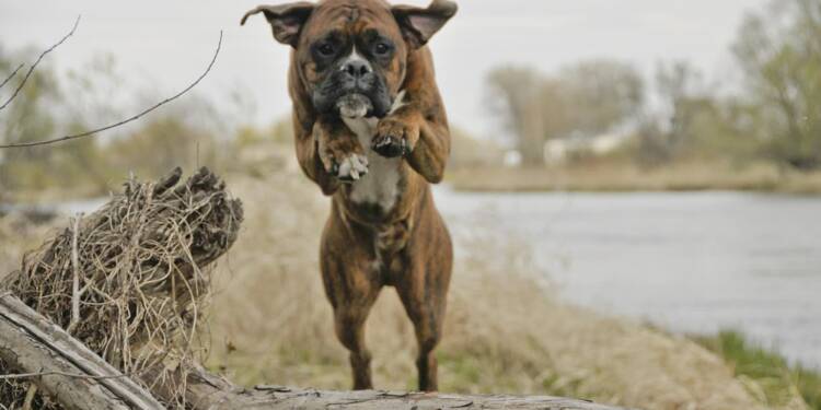 EAttachments93004797ba0a5c5515c682f3a90ca92c0b8dbca xl