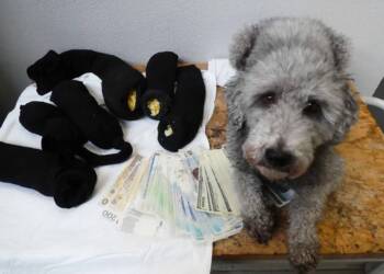 EAttachments9301193e98c2f86eadaea916cfcae612f3db5ab xl