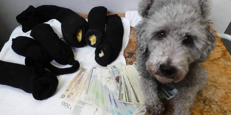 EAttachments9301193e98c2f86eadaea916cfcae612f3db5ab xl