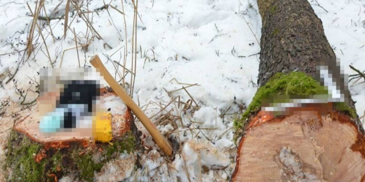 EAttachments9301194cadff327c36b855312d7d39eaf27f4cb xl