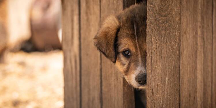 EAttachments93027896c106a231318624247da21ed8f3ae5f4 xl