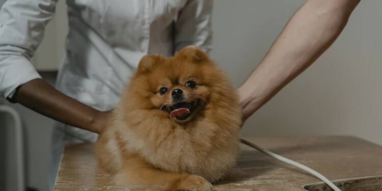 EAttachments9304737bf95add370503f03408b7d7903efa43d xl