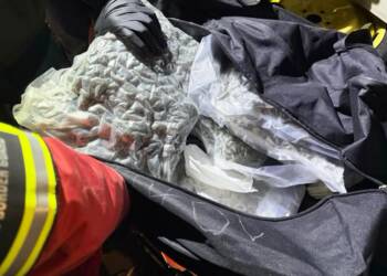 EAttachments9304841af07d8895ba72d7bbf3985b095afc71d xl