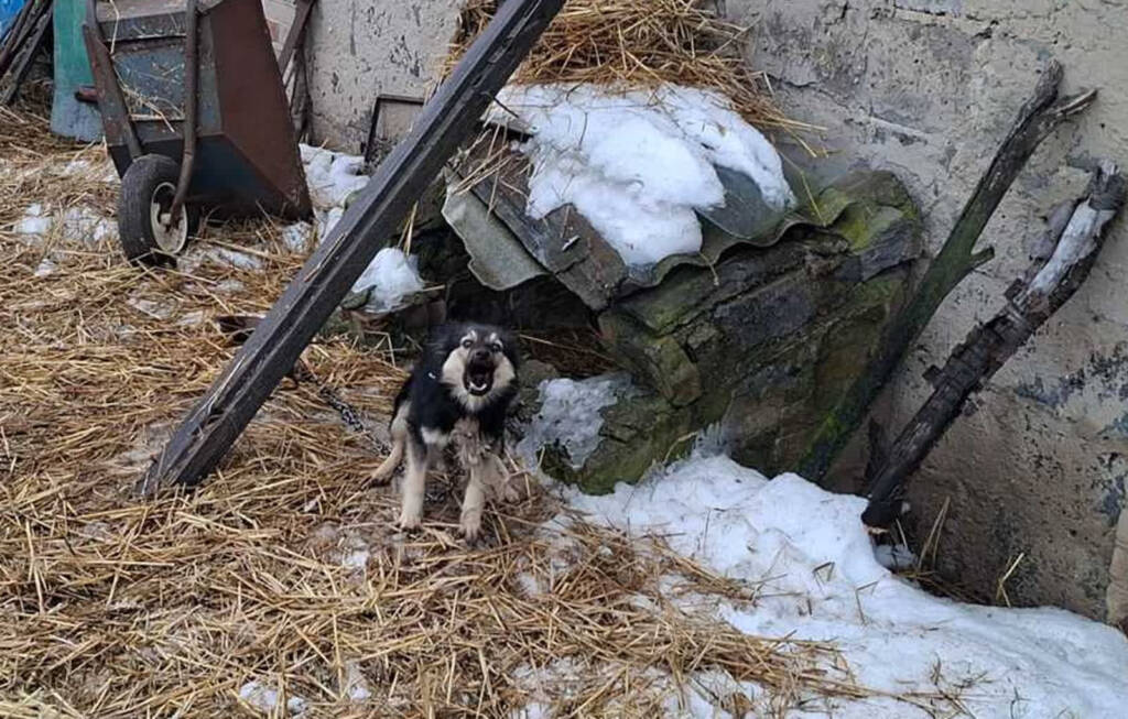 EAttachments9304939bdb81d150adf5de21e98b444e3e777f2 xl