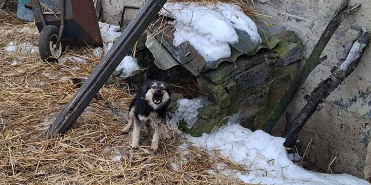 EAttachments9304939bdb81d150adf5de21e98b444e3e777f2 xl