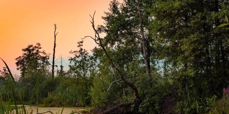 EAttachments930494006ae799985f3491617f01674c99e73b0 xl