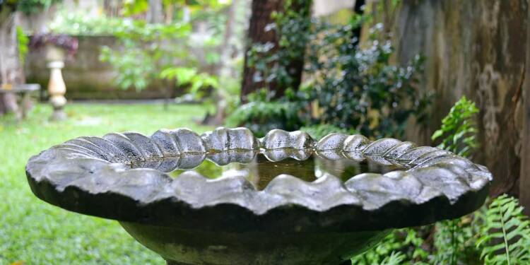 EAttachments9305248eeefc7a2b850d869d8dac6e1b1e63dd7 xl