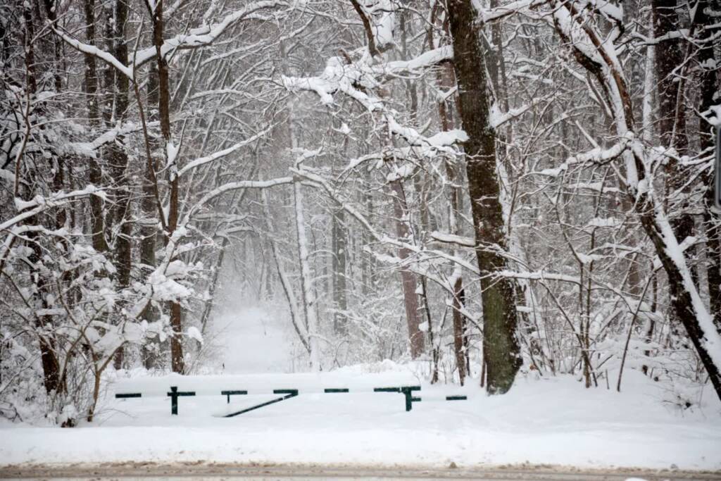 Najzimniejszy styczeń od 16 lat. Przed nami fala mrozów 1 EAttachments9305702b8a432a09db313fdad15dc29951e250c xl