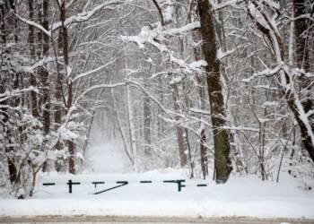 EAttachments9305702b8a432a09db313fdad15dc29951e250c xl