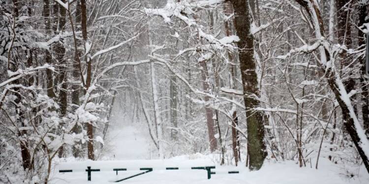 EAttachments9305702b8a432a09db313fdad15dc29951e250c xl