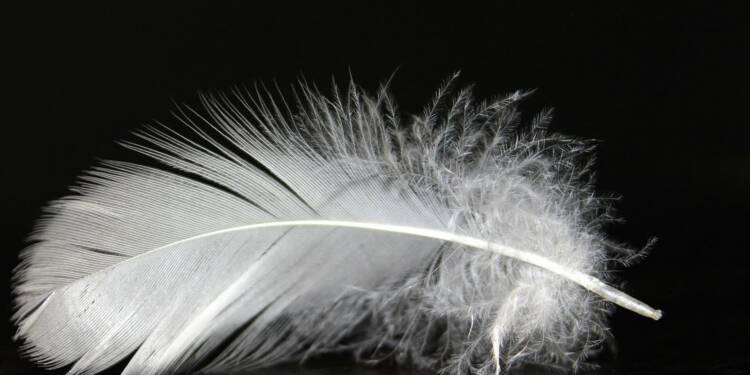 EAttachments9306646cd3cddd16202176263c86b4a9c0113bf xl