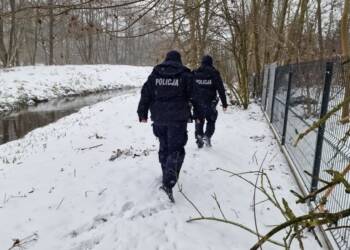 EAttachments9306903efe415b0a67e4ab7fe860a64af0de2a4 xl