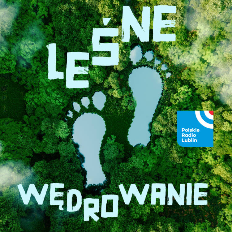 Lesne wedrowania DOBRA JAKOSC