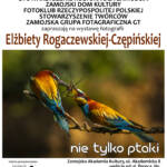 PLAKAT E.ROGACZEWSKA zm