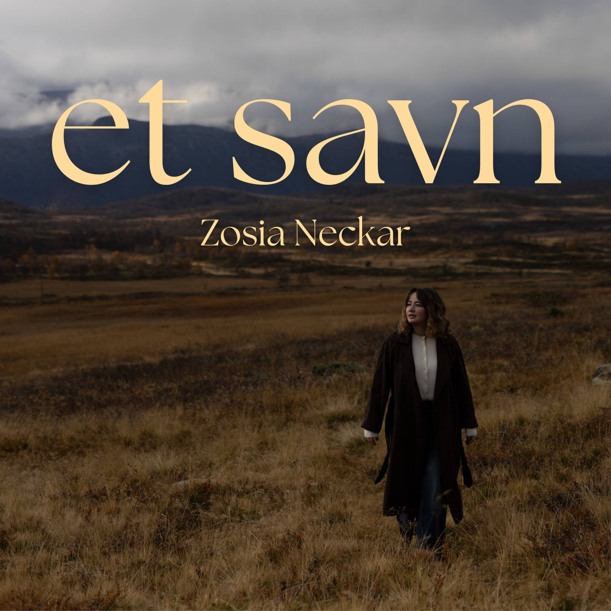 Premiera albumu "Et savn" Zosi Necker 7 Plakat scaled
