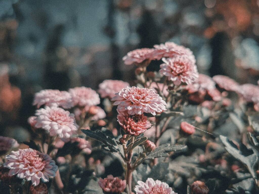 pexels kristyle 346081526 14628953