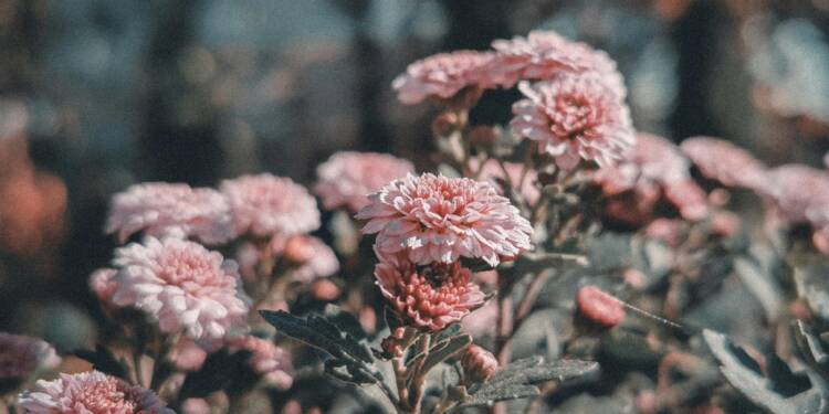 pexels kristyle 346081526 14628953