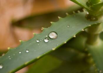 EAttachments1550603eed3a5be573c40178d10139f0cf97d3e