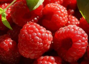 EAttachments24780538c5e4ab690fdcba8508eec93a14fa8fd