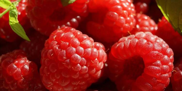 EAttachments24780538c5e4ab690fdcba8508eec93a14fa8fd