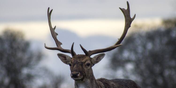 EAttachments52297216e81a7c52fd02906e0860a1540b91008