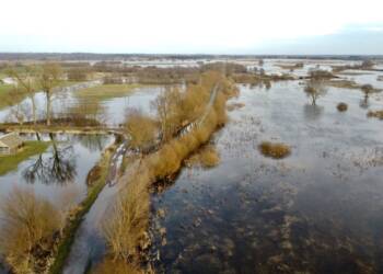 EAttachments68165823745876c09281dfafc2d3d0300537146 1024x756 1