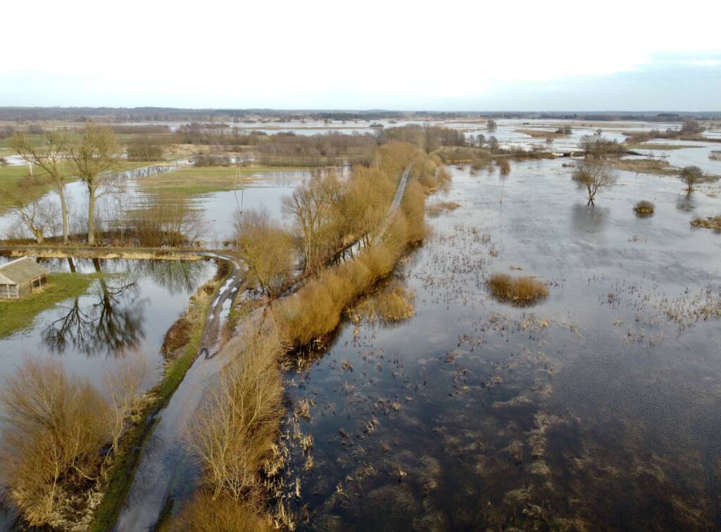 EAttachments68165823745876c09281dfafc2d3d0300537146