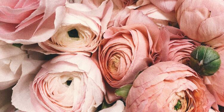 EAttachments690836975fce67c91f85469ae71668dbf2876b6