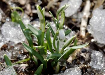 EAttachments6913919fd6001a5e967db87c0a22d5c32014e93 1024x842 1