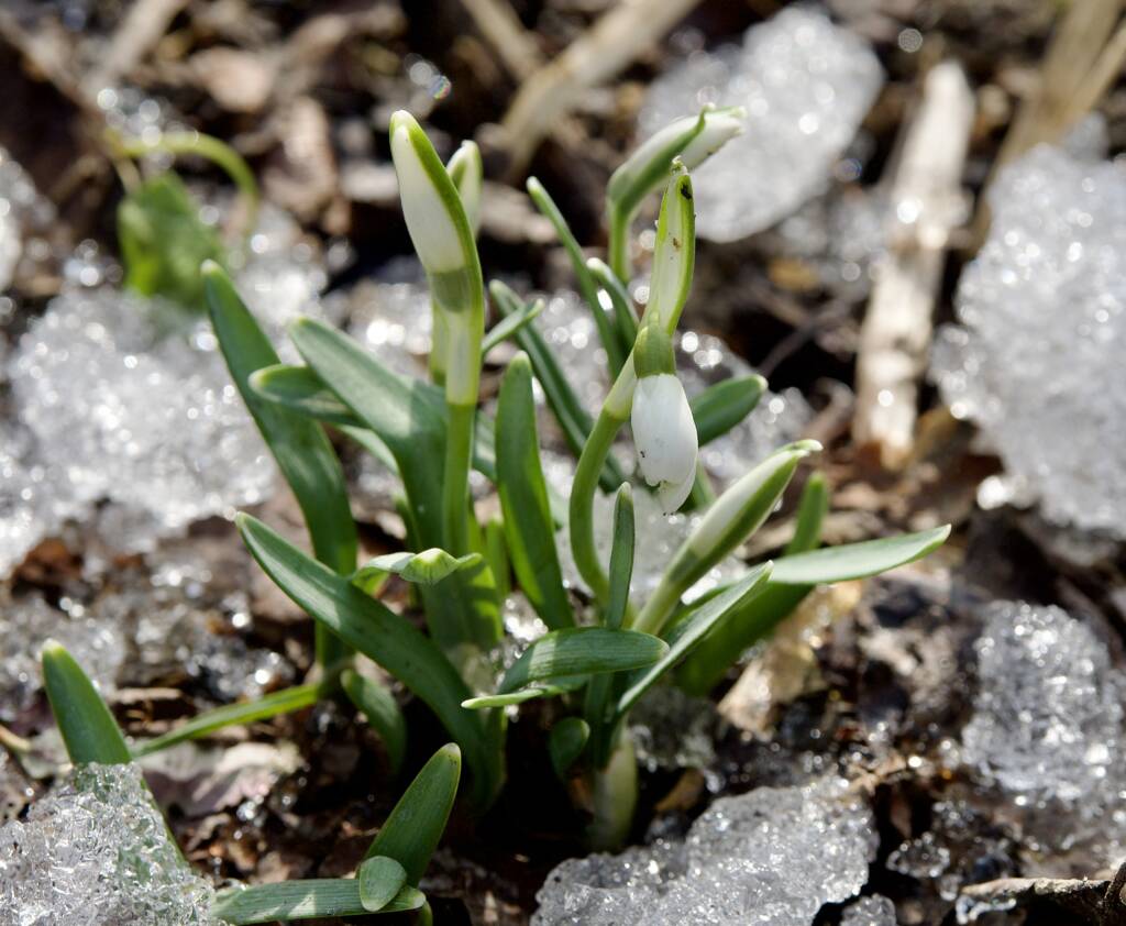 EAttachments6913919fd6001a5e967db87c0a22d5c32014e93