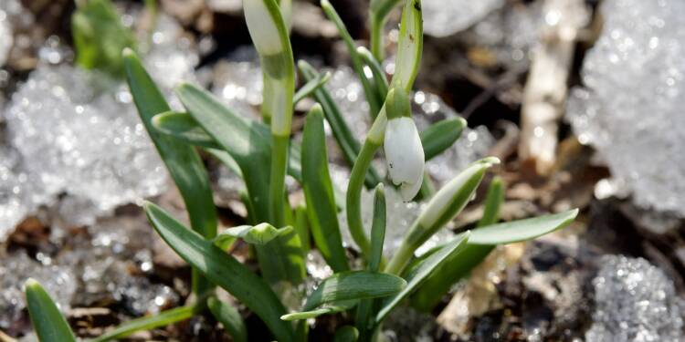 Idzie wiosna! W weekend będzie ciepło i słonecznie 1 OLYMPUS DIGITAL CAMERA