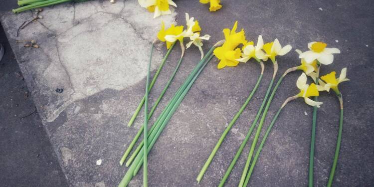 EAttachments70538845524b2c6e39dd3263e6e7068a183478e