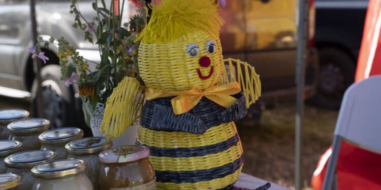 Nowocześnie i międzynarodowo o pszczelarstwie 1 EAttachments72516151523f3535b541baf218776f2495af947