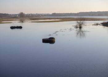 Wzrost poziomu wody na Krznie. Obowiązuje ostrzeżenie hydrologiczne 3 EAttachments7738056ebb368723777e09d9c0602b26099fa38