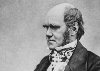 EAttachments78837429d30f080c61a5170d6a1a6710aa329e1