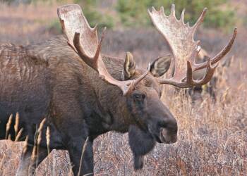 EAttachments815558047a8d86cd0b469eb5c8b04a8d27a7859