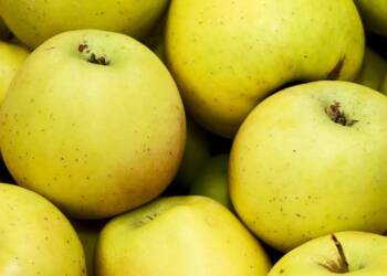 EAttachments9194575b5353f05c9e7394d9d8e2772070f8506 xl