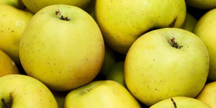 26.02.2026 Agrobiznes - o ekologicznej żywności 1 EAttachments9194575b5353f05c9e7394d9d8e2772070f8506 xl