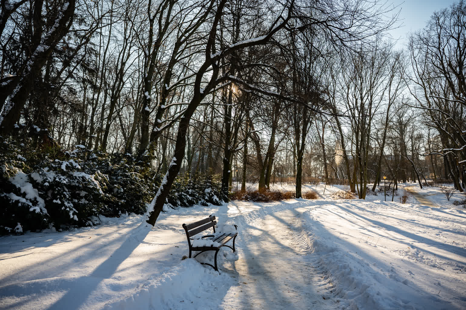 To zima stulecia? "Takiej pogody nie pamiętają nawet najstarsi nastolatkowie" 2 DSC_1949.jpg
