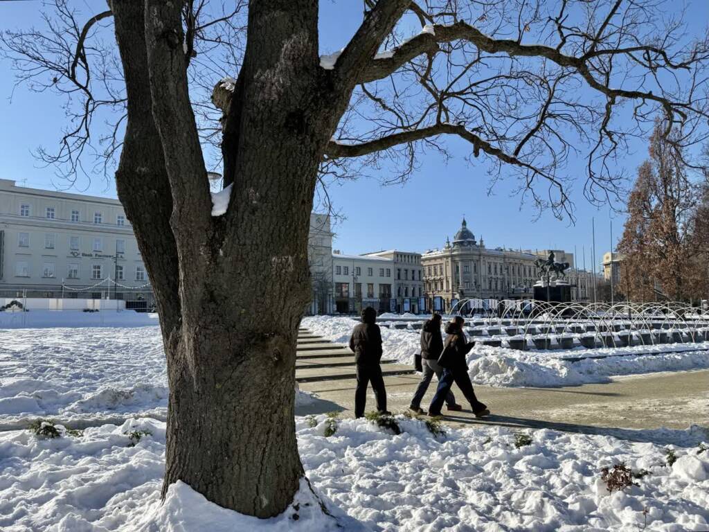 Mróz nie dla każdego. Eksperci apelują o ostrożność 1 EAttachments928816020490f1f48d67f002c43a895a7e2c59f xl