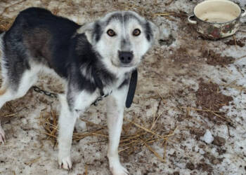 EAttachments9304939efd2dae36eb3fa2cce56f00da1998b77 xl 1024x801 1