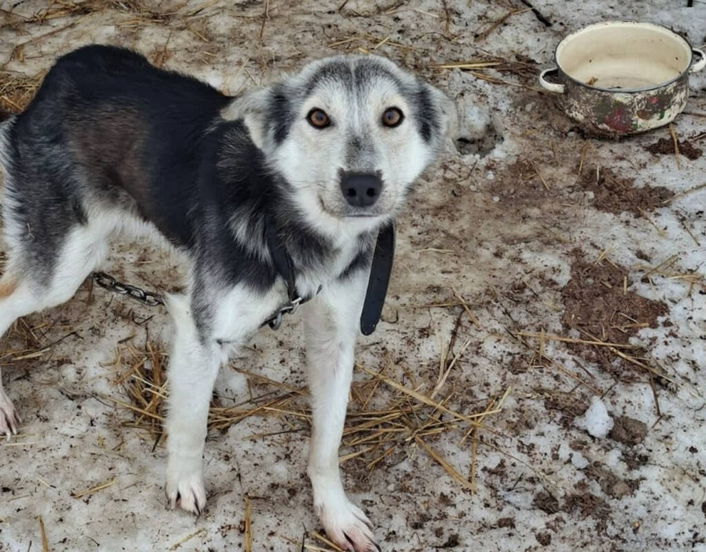 EAttachments9304939efd2dae36eb3fa2cce56f00da1998b77 xl