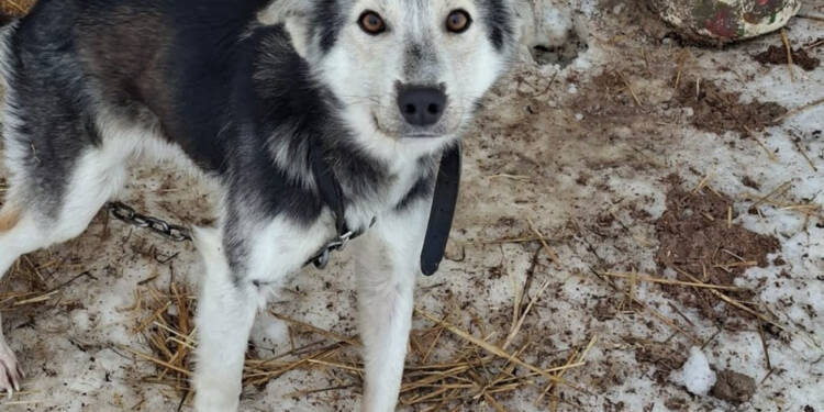 EAttachments9304939efd2dae36eb3fa2cce56f00da1998b77 xl