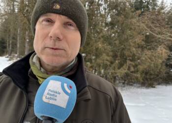 EAttachments930526414c2e658efe9c1ffd166f90136f4ca78 xl