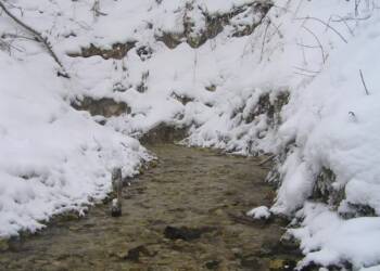 EAttachments93083021c2586032ca075f5750fac765dea960e xl 1024x768 1